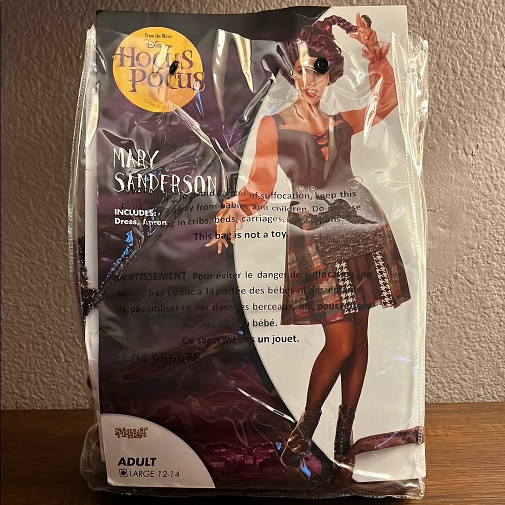 Mary Sanderson Adult Costume
